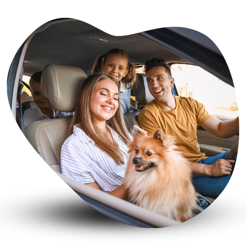 seguro mais barato Belém